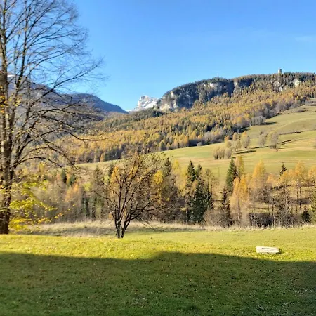 Stella Alpina Cortina dʼAmpezzo