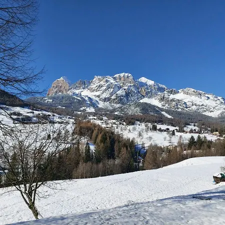 Stella Alpina *